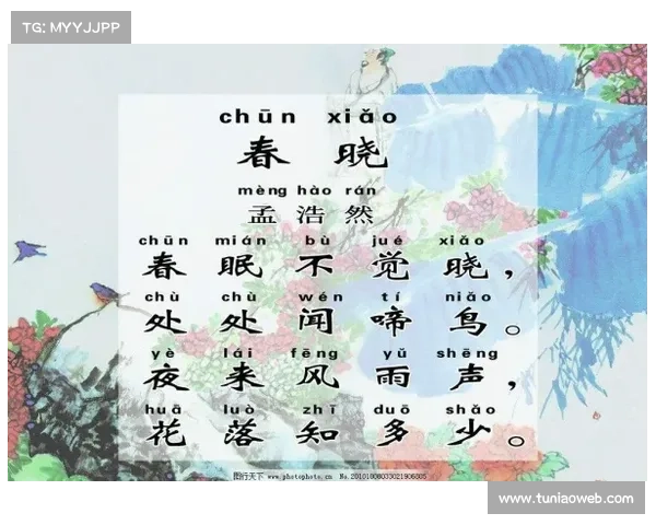 春晓fairy 春晓fairy