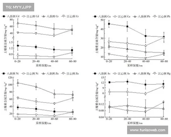 赛事不同赞助投入的多元化格局分析及其影响差异对策研究 赛事不同赞助投入的多元化格局分析及其影响差异对策研究