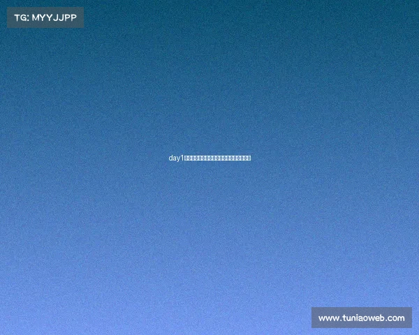 day1电子竞技俱乐部—电子竞技俱乐部项目介绍